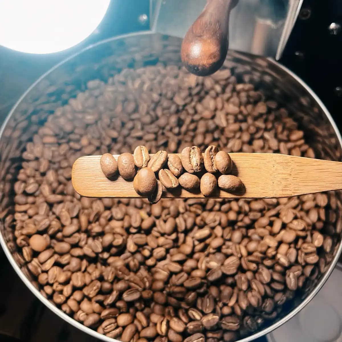 貓咖啡・Cat Coffee (禾富食品事業有限公司), photo 4