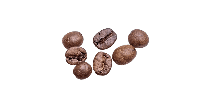 貓咖啡・Cat Coffee (禾富食品事業有限公司), photo 6