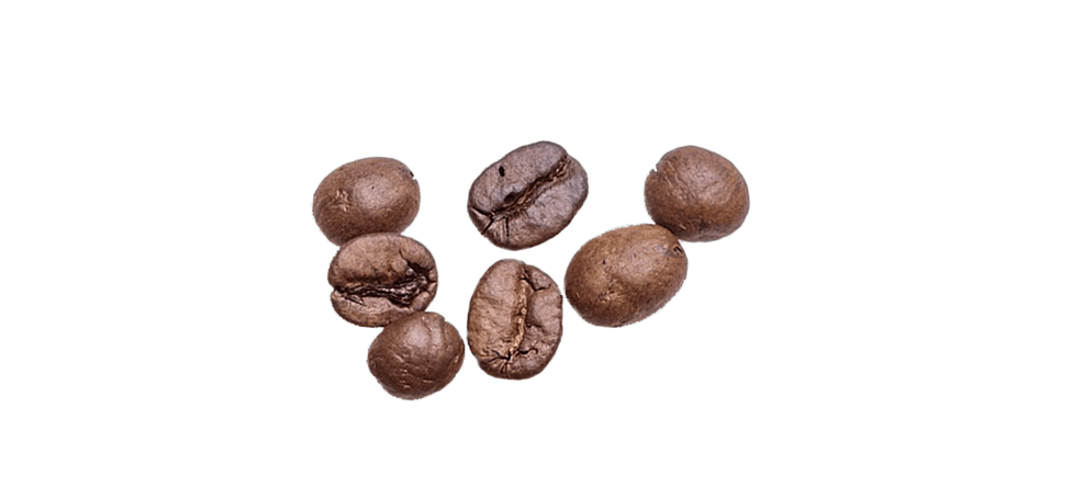 貓咖啡・Cat Coffee (禾富食品事業有限公司), photo 8
